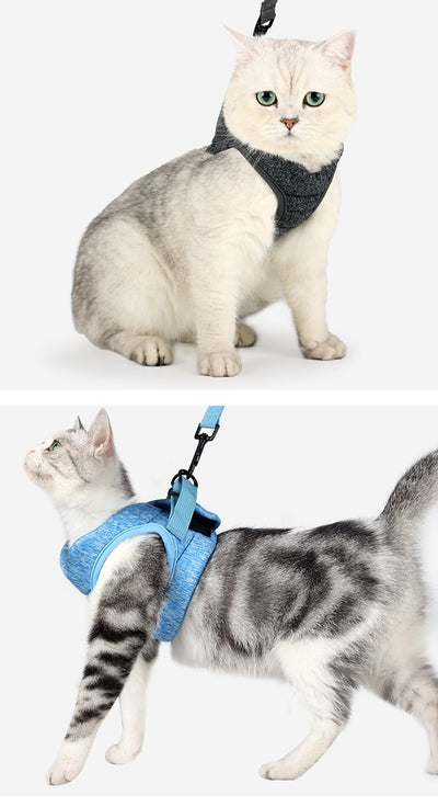 Chaleco Antiescape con Cuerda de Tracción para Gatos - Image 38