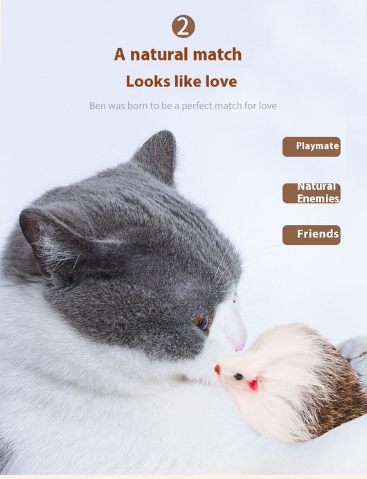 Four furry cat mouse toys with white and brown fur, red noses, and black eyes on a white background. - Image 13