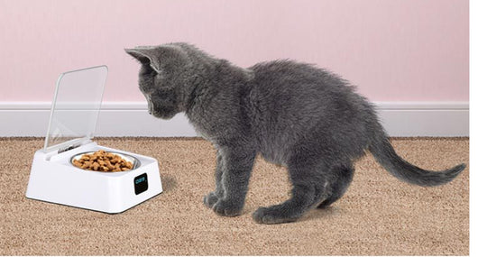 Comedero Automático Inteligente Pet 5G para Mascotas - Image 6