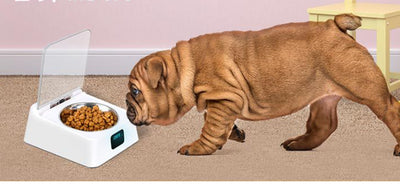 Comedero Automático Inteligente Pet 5G para Mascotas - Image 9