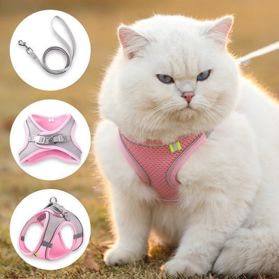 Arnés de Tracción con Correa para Gatos - Chaleco de Paseo Seguro - Image 14