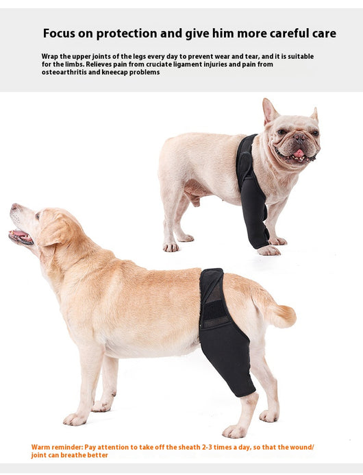 Rodillera Protectora para Perros - Soporte Articular y Recuperación Postoperatoria - Image 26