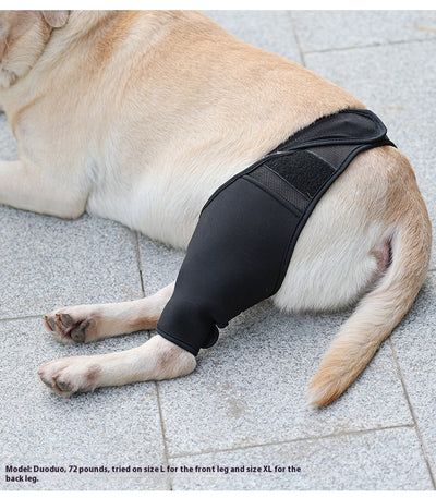 Rodillera Protectora para Perros - Soporte Articular y Recuperación Postoperatoria - Image 27