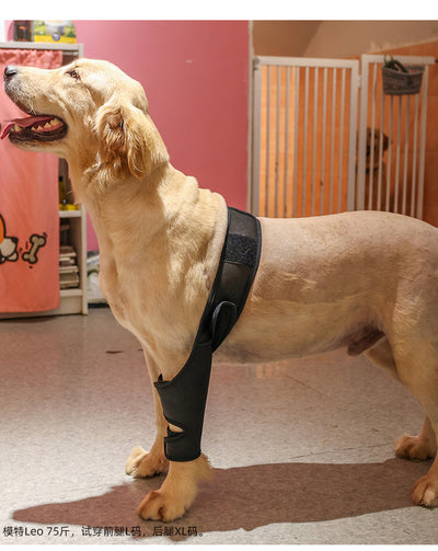 Rodillera Protectora para Perros - Soporte Articular y Recuperación Postoperatoria - Image 30