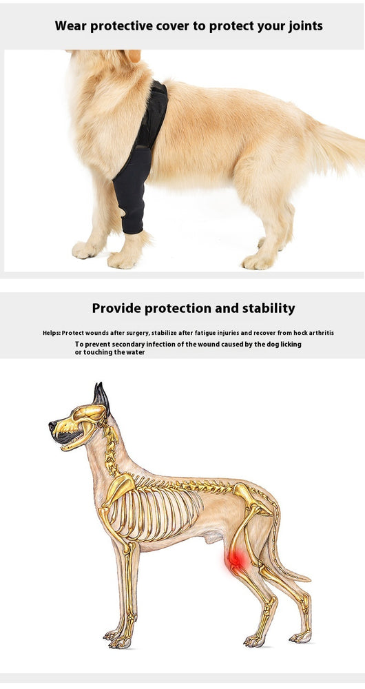 Rodillera Protectora para Perros - Soporte Articular y Recuperación Postoperatoria - Image 33