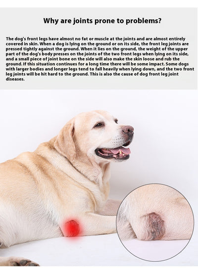 Rodillera Protectora para Perros - Soporte Articular y Recuperación Postoperatoria - Image 34