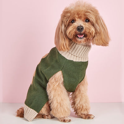 Suéter Militar para Perro Verde Oliva - Diseño Simple Otoño Invierno - Image 24