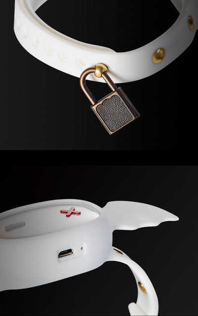 Collar de Adiestramiento Remoto con App Inteligente para uso en Ecuador - Image 24