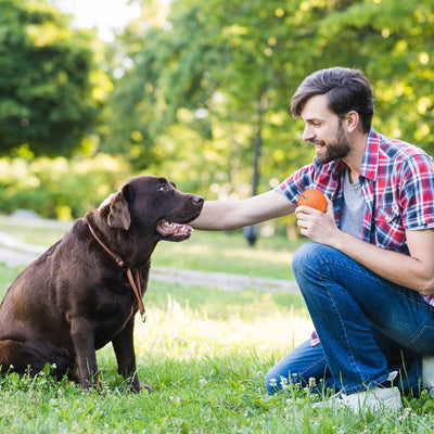 Orange electric intelligent remote control ball with a multicolor light-up paw print and hexagonal texture. - Image 15