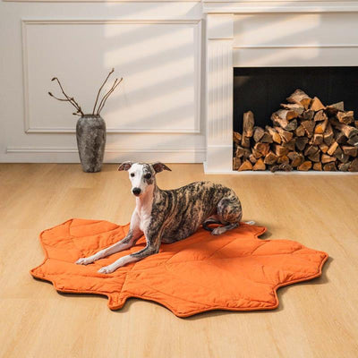 Colchoneta Climática Universal para Mascotas - Image 32