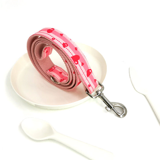 Juego de Collar y Correa para Perros de Alta Calidad - Image 8