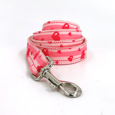 Juego de Collar y Correa para Perros de Alta Calidad - Image 12