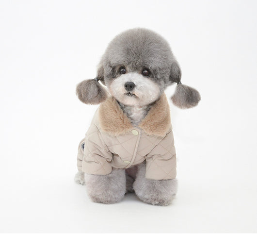 Abrigo de Algodón para Perros - Colección Invierno - Image 12