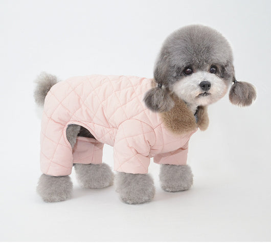 Abrigo de Algodón para Perros - Colección Invierno - Image 15