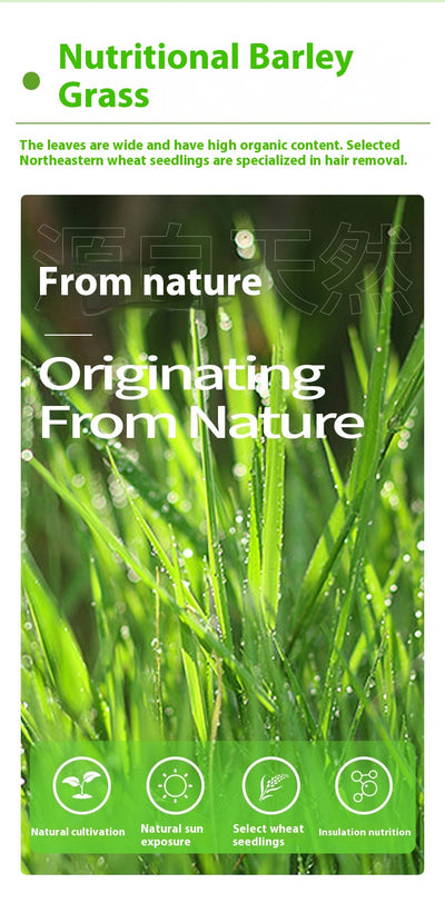 White pouch of freeze-dried cat grass sticks with a green label featuring a cat silhouette and Chinese text. - Image 12