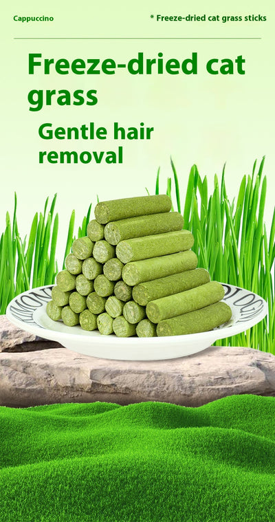 Clear plastic container of green freeze-dried cat grass chicken stick treats with a label featuring a grey cat. - Image 10