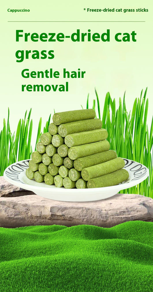 Clear plastic container of green freeze-dried cat grass chicken stick treats with a label featuring a grey cat. - Image 10