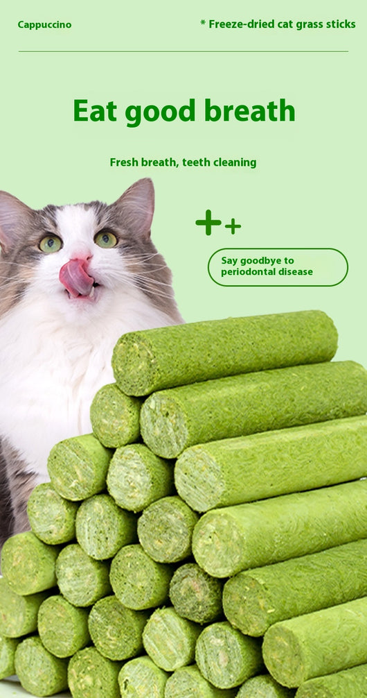 Clear plastic container of green freeze-dried cat grass chicken stick treats with a label featuring a grey cat. - Image 11