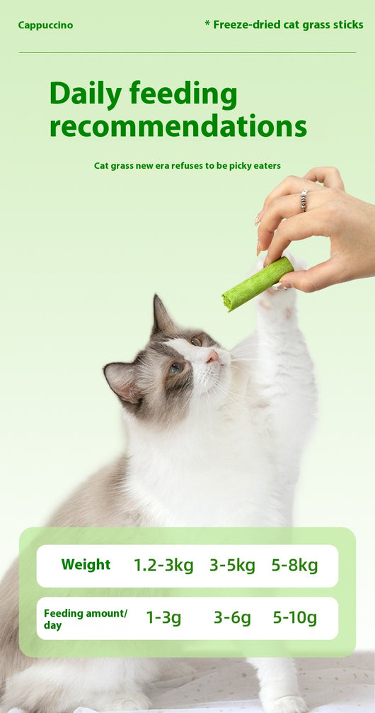 Clear plastic container of green freeze-dried cat grass chicken stick treats with a label featuring a grey cat. - Image 16