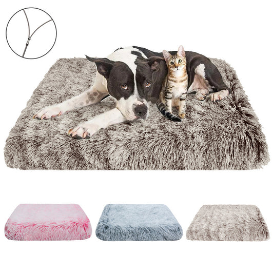 Cama Cuadrada Acogedora para Gatos - Image 21