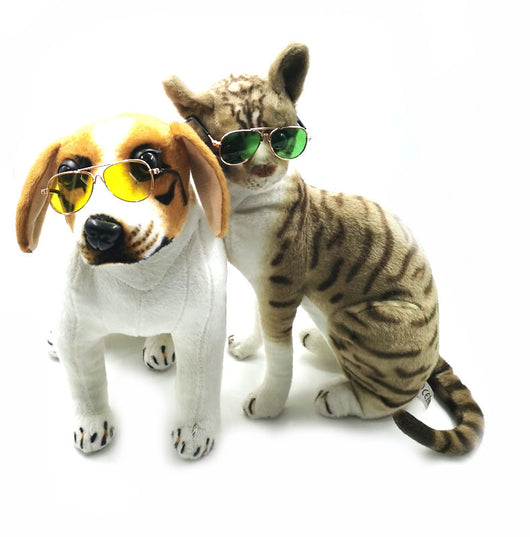 Gafas de Sol Hip Hop para Mascotas - Image 31