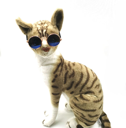 Gafas para Mascotas con Estilo Excéntrico - Image 39