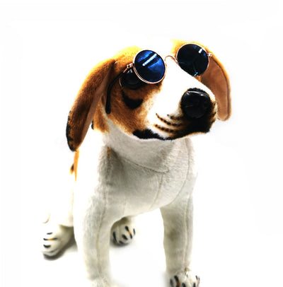 Gafas para Mascotas con Estilo Excéntrico - Image 50