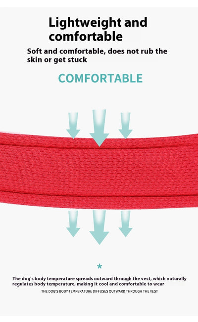 Arnés de Pecho para Perro con Cuerda de Mano - Chaleco de Control Suave - Image 30