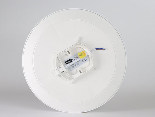 Lámpara de Techo Inteligente RGBCW con WiFi y Control de Intensidad - Image 18