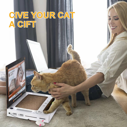 Rascador Interactivo para Gatos con Diseño de Consola de Videojuegos - Image 11