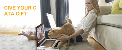 Rascador Interactivo para Gatos con Diseño de Consola de Videojuegos - Image 22
