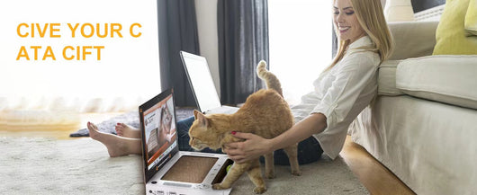 Rascador Interactivo para Gatos con Diseño de Consola de Videojuegos - Image 22