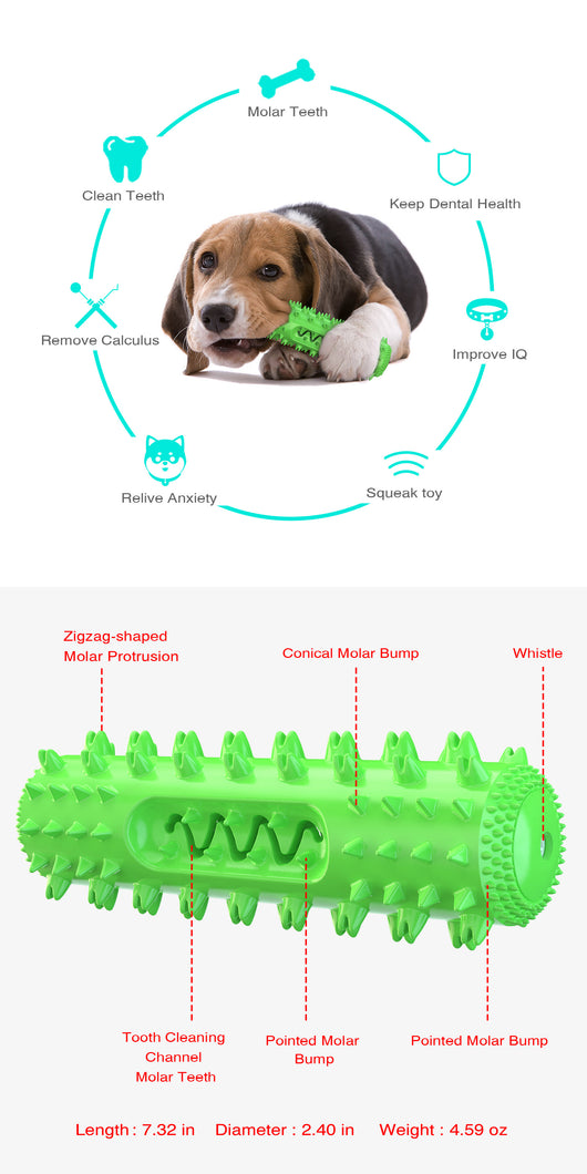 Juguete Masticable Dental para Perros con Sonido y Limpieza de Dientes - Image 12