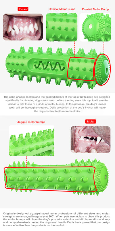 Juguete Masticable Dental para Perros con Sonido y Limpieza de Dientes - Image 13