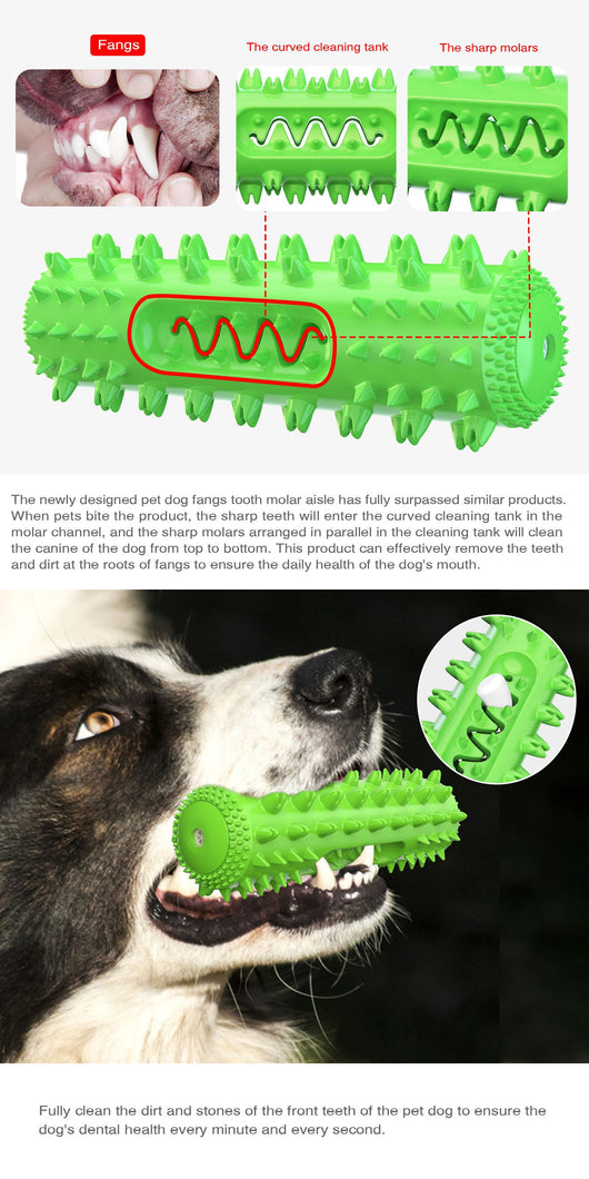 Juguete Masticable Dental para Perros con Sonido y Limpieza de Dientes - Image 14