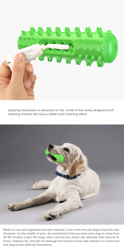 Juguete Masticable Dental para Perros con Sonido y Limpieza de Dientes - Image 15