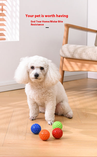 Red 65mm dog toy ball with a textured honeycomb surface, designed for vocalization, bite-resistance, and molar relief. - Image 14