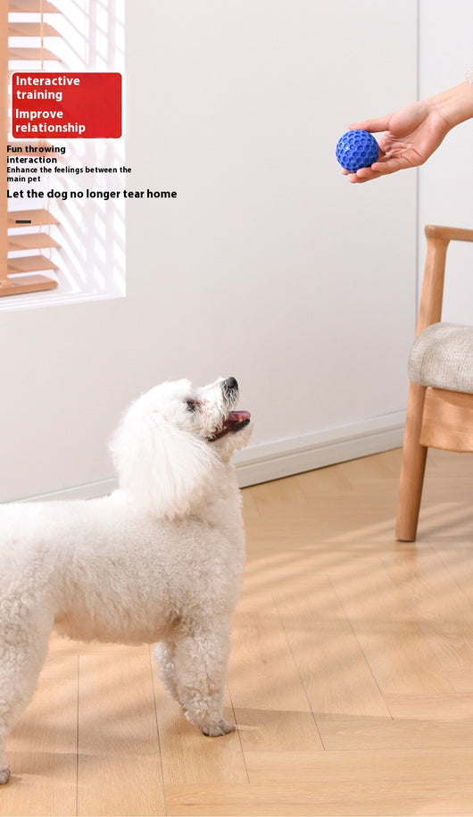 Red 65mm dog toy ball with a textured honeycomb surface, designed for vocalization, bite-resistance, and molar relief. - Image 15