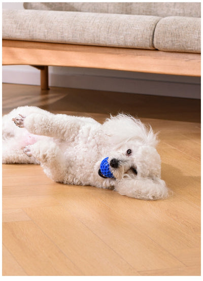 Red 65mm dog toy ball with a textured honeycomb surface, designed for vocalization, bite-resistance, and molar relief. - Image 23