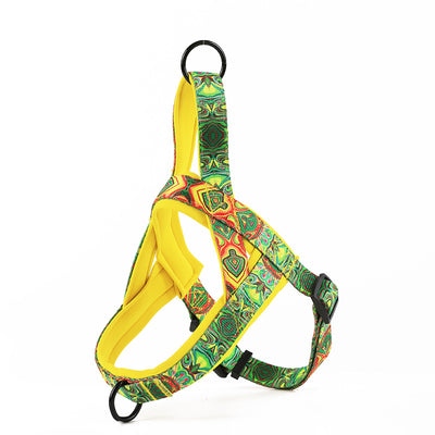 Arnés para Perro con Correa de Mano y Pechera de Soporte - Image 13