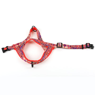 Arnés para Perro con Correa de Mano y Pechera de Soporte - Image 16