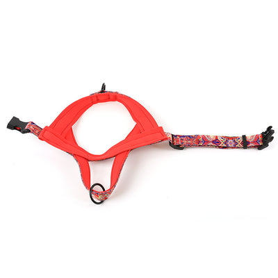 Arnés para Perro con Correa de Mano y Pechera de Soporte - Image 19