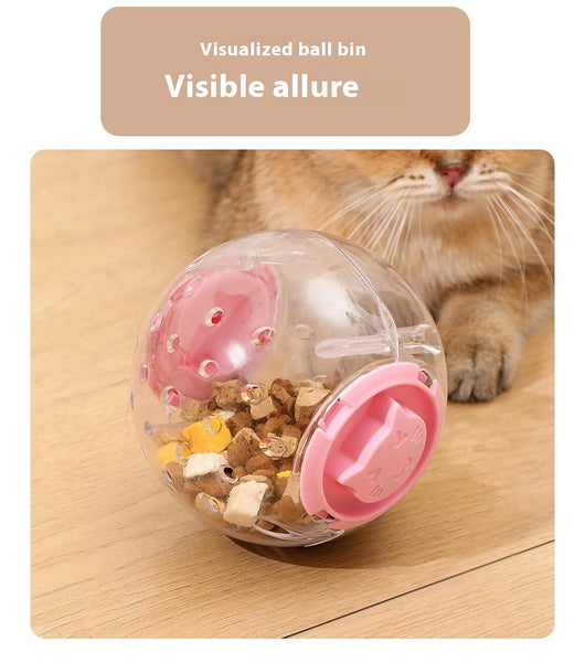Clear plastic pet tumbler food leakage toy with blue accents and a cat face design, on a wooden floor. - Image 10