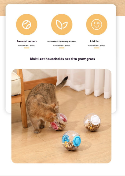 Clear plastic pet tumbler food leakage toy with blue accents and a cat face design, on a wooden floor. - Image 13