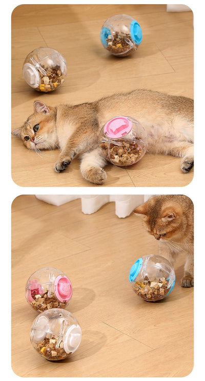 Clear plastic pet tumbler food leakage toy with blue accents and a cat face design, on a wooden floor. - Image 19