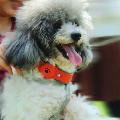 Collar Antipérdida con Luz LED y Posicionamiento GPS para Mascotas - Image 36
