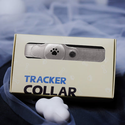 Collar Antipérdida con Luz LED y Posicionamiento GPS para Mascotas - Image 45