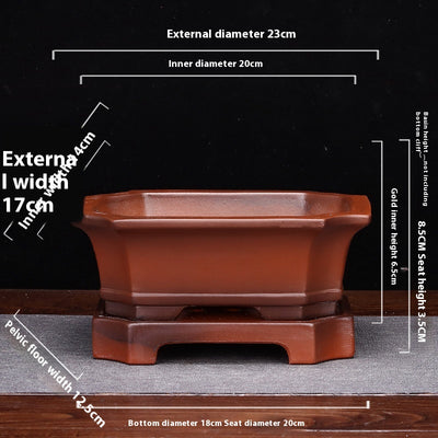 Maceta de Arena Púrpura Rectangular con Base para Bonsái, Orquídeas y Plantas de Interior - Image 23
