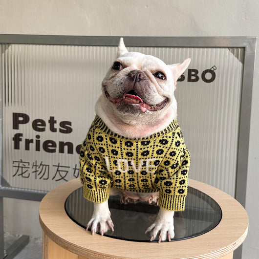 Suéter Abrigador para Perros y Gatos - Image 44