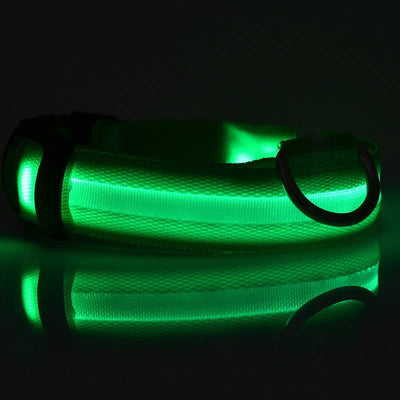 Collar LED Luminoso para Perros y Gatos - Seguridad Nocturna con Luz Fluorescente - Image 24